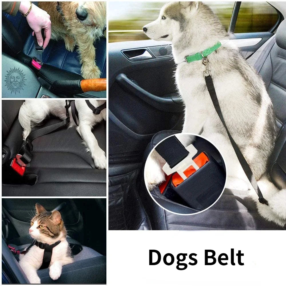 Adjustable Pet Car Seat Belt with Harness Lead Clip