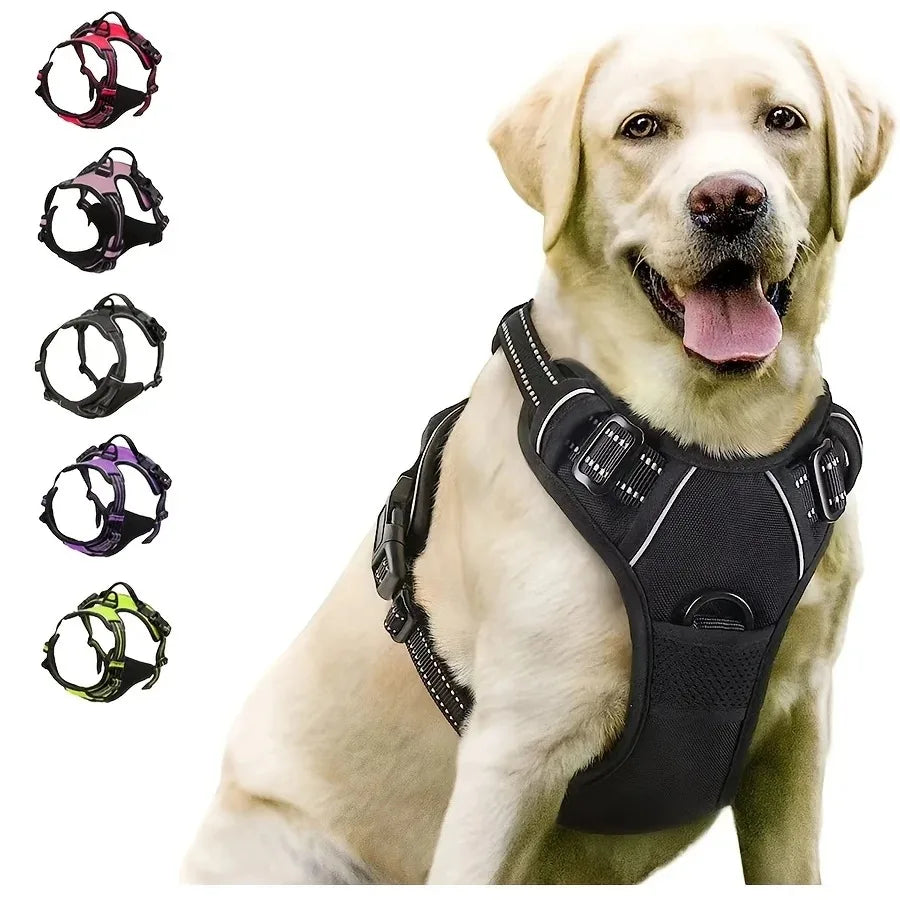Dog Collar and Harness Vests