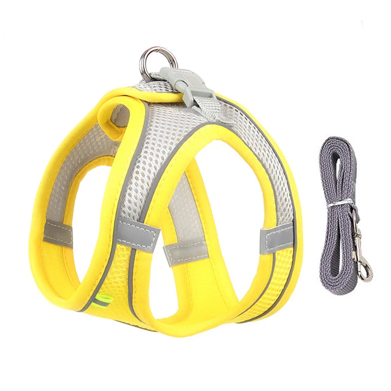 Adjustable Harness Leash Set for Small Pets