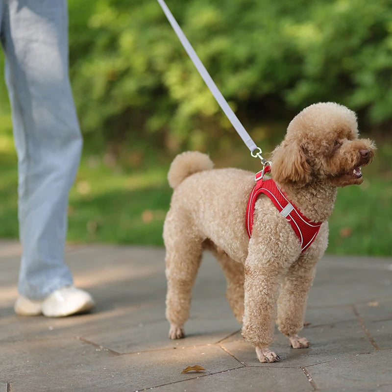 Adjustable Harness Leash Set for Small Pets