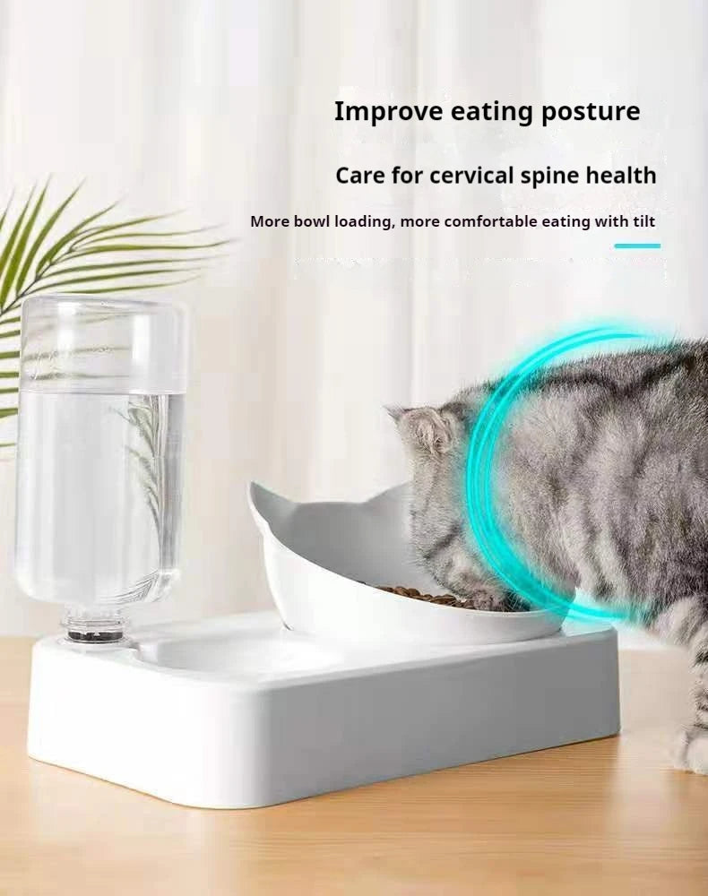 Luxurious Tilted Pet Bowl with Water Bottle Feeder