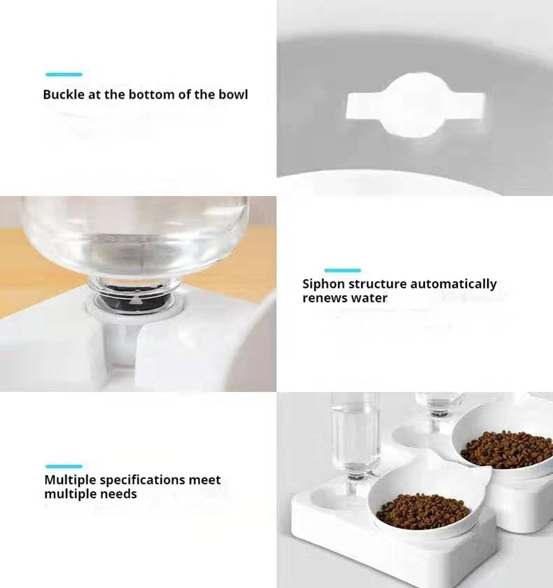 Luxurious Tilted Pet Bowl with Water Bottle Feeder