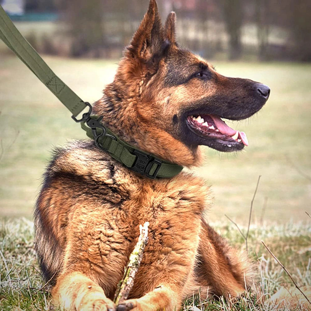 Dog Collar Durable Tactical Leash Set