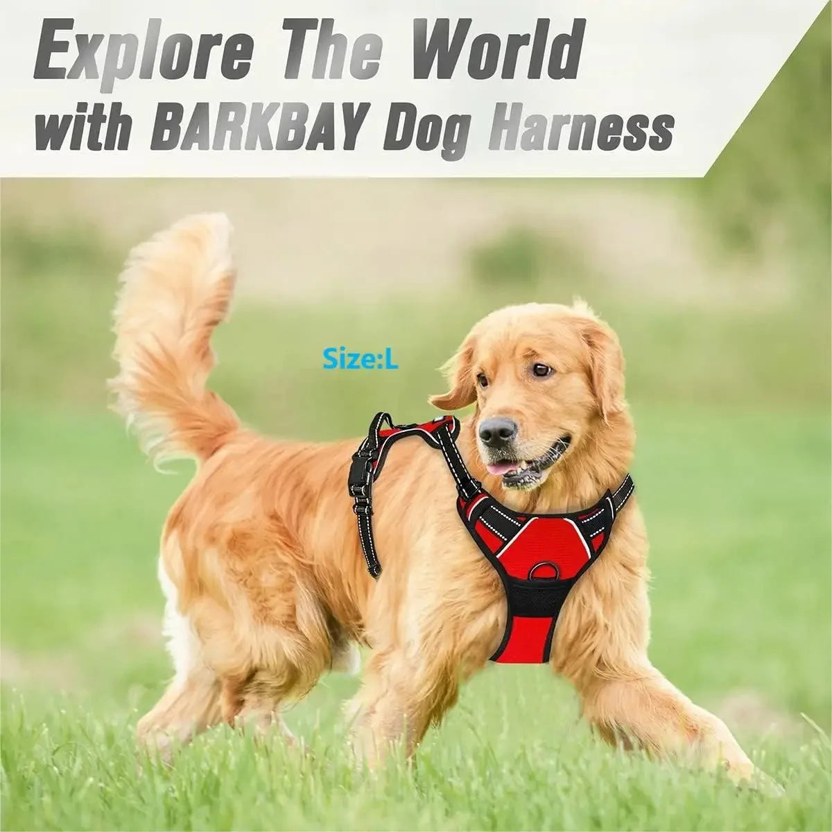Dog Collar and Harness Vests