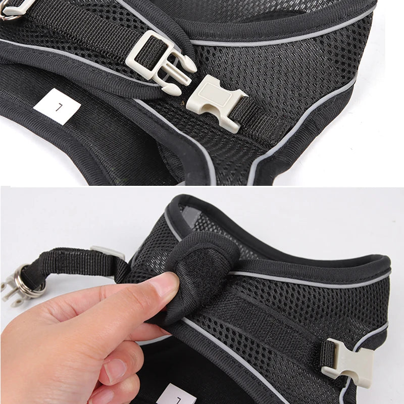 Adjustable Harness Leash Set for Small Pets