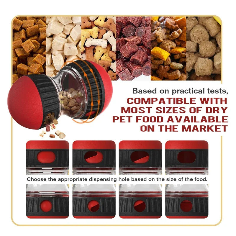 Interactive Pet Toy with Elliptical Track and Food Dispenser
