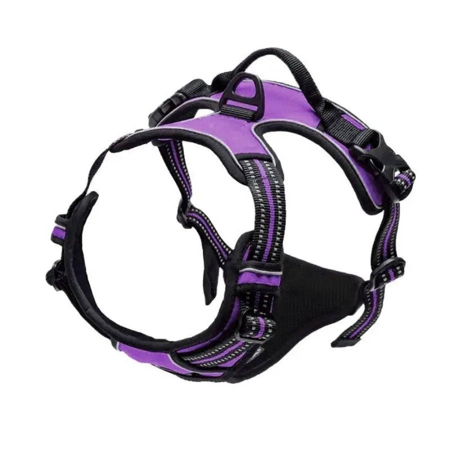 Dog Collar and Harness Vests
