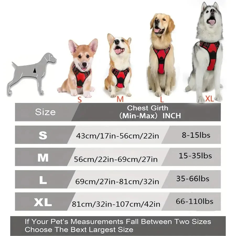 Dog Collar and Harness Vests