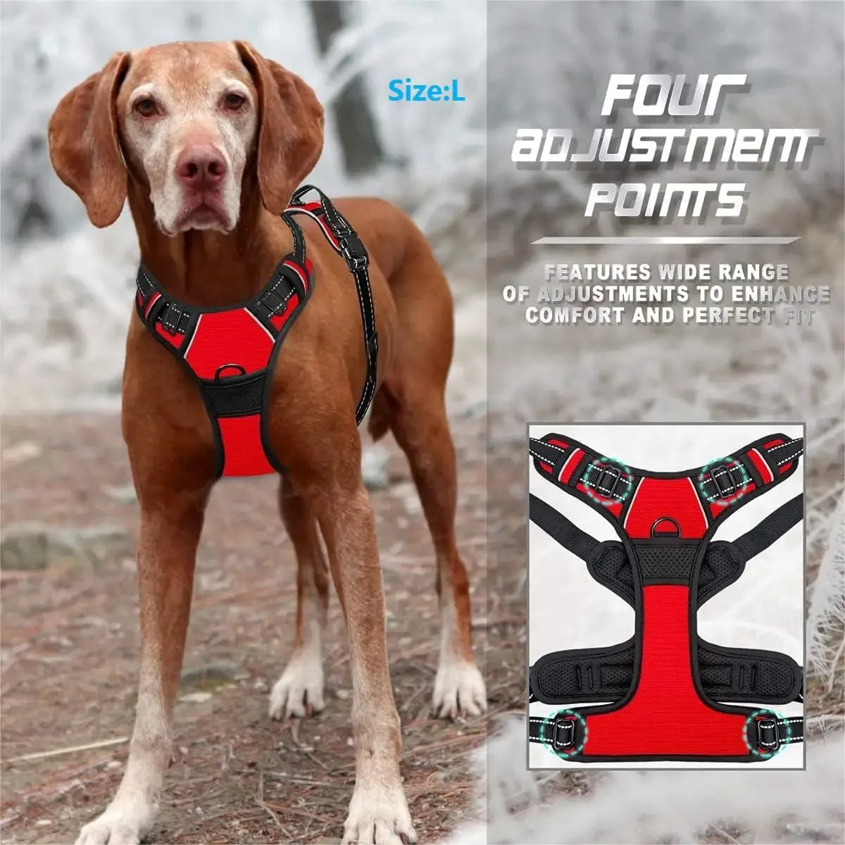 Dog Collar and Harness Vests