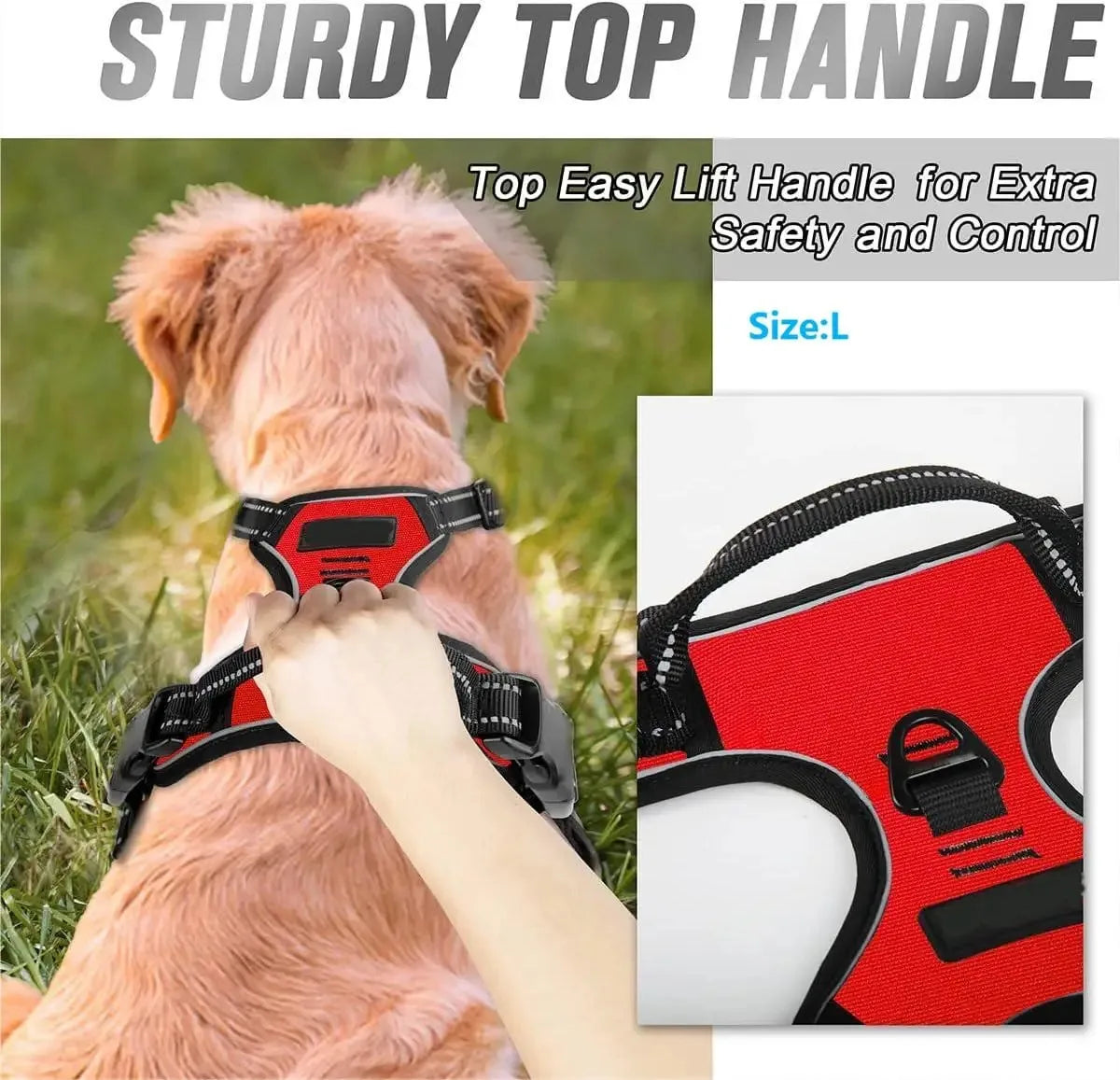 Dog Collar and Harness Vests
