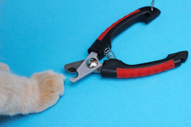 Pet Nail Clipper with Safety Guard