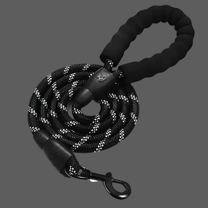 Heavy-Duty Reflective Leash for Dogs