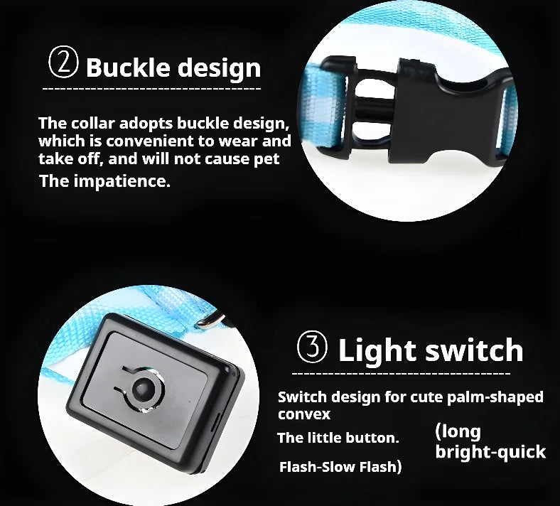 Nylon LED Dog Collar Leash