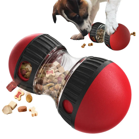 Interactive Pet Toy with Elliptical Track and Food Dispenser