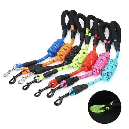 Heavy-Duty Reflective Leash for Dogs