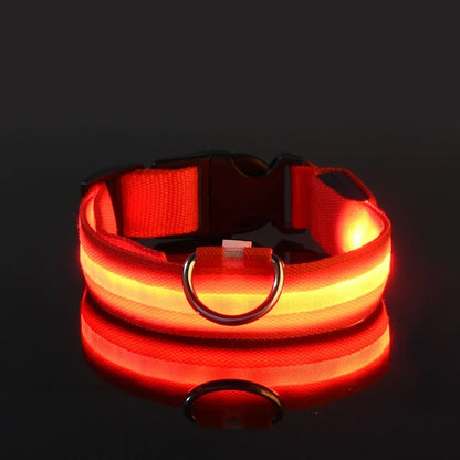 Nylon LED Dog Collar Leash