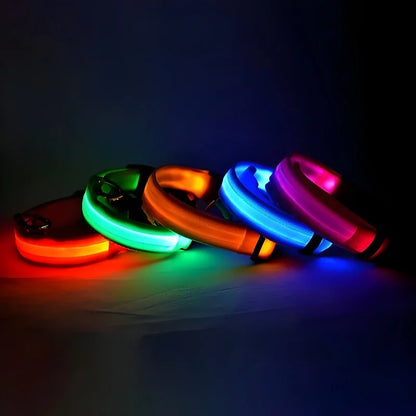 Nylon LED Dog Collar Leash