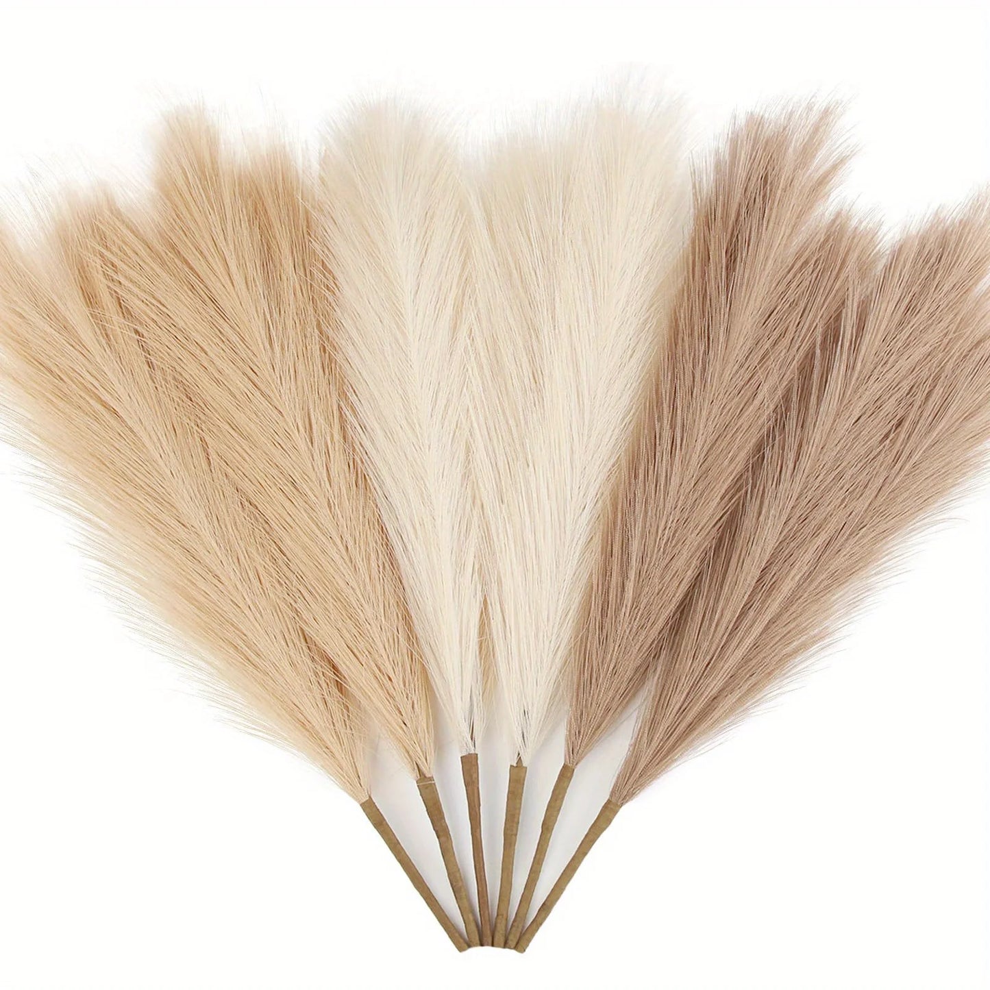 6 PCS Pampas Grass Luxe Bundle