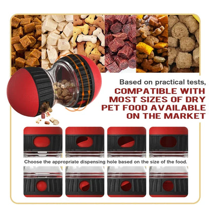 Interactive Pet Toy with Elliptical Track and Food Dispenser