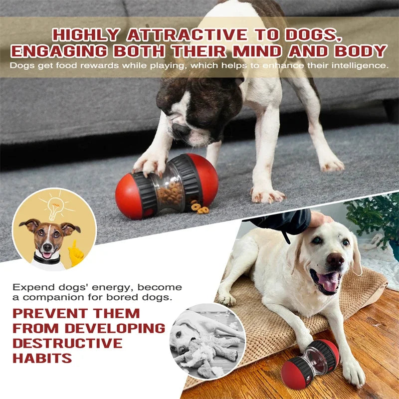 Interactive Pet Toy with Elliptical Track and Food Dispenser