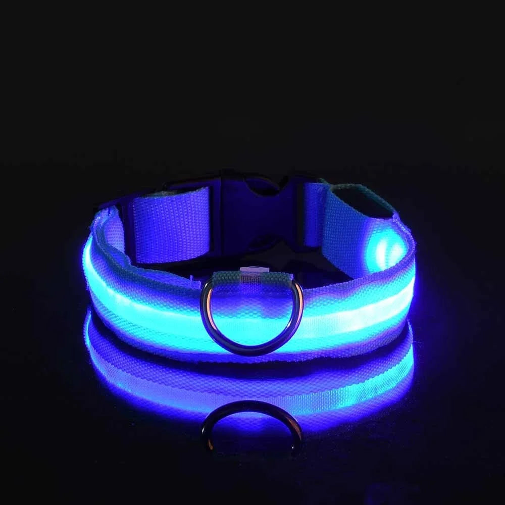 Nylon LED Dog Collar Leash