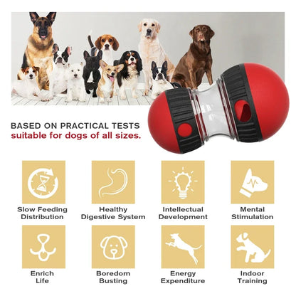 Interactive Pet Toy with Elliptical Track and Food Dispenser