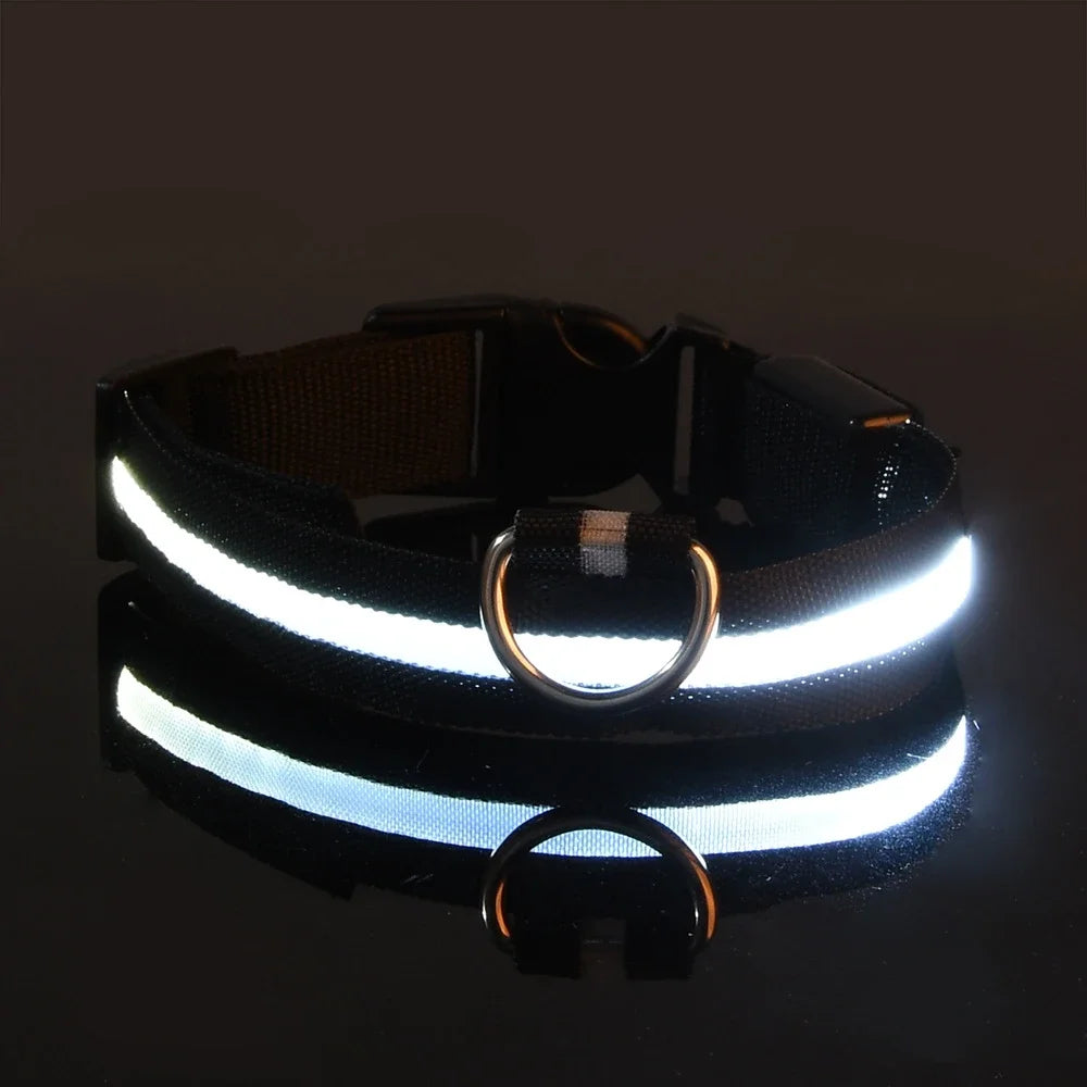 Nylon LED Dog Collar Leash