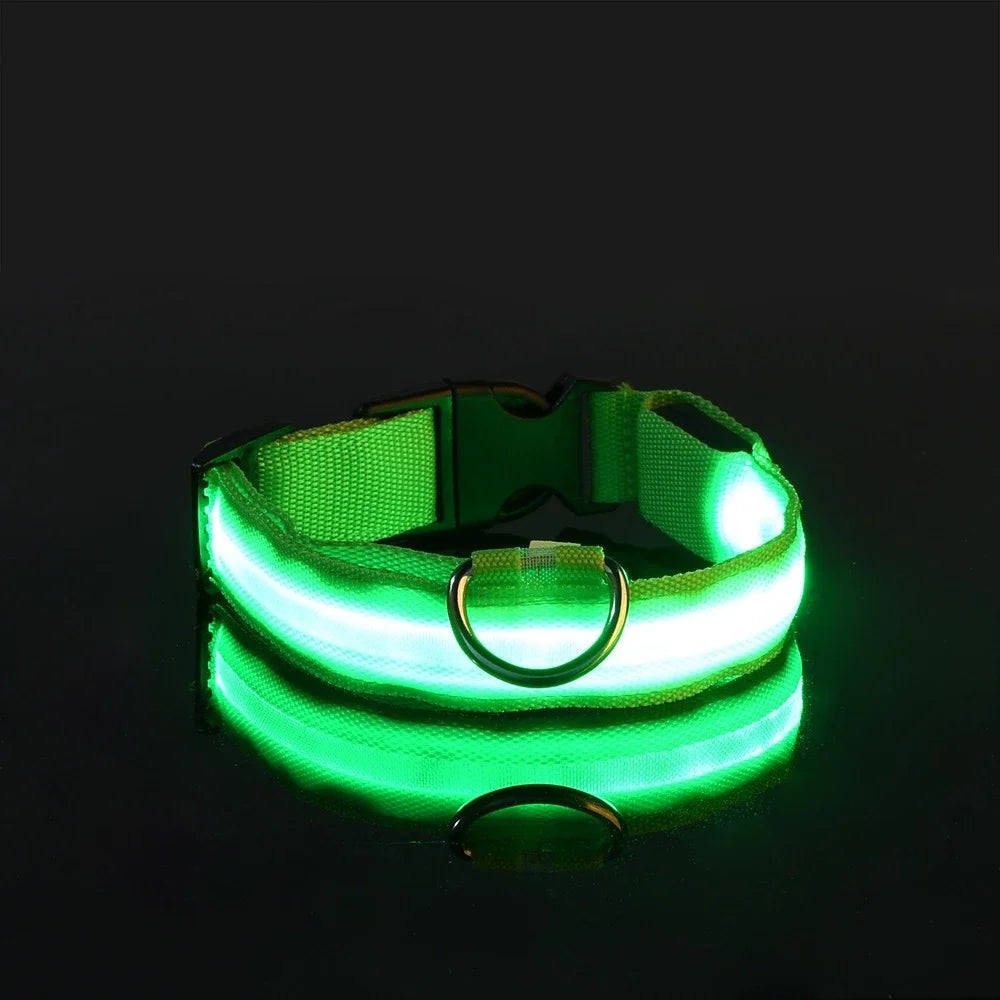 Nylon LED Dog Collar Leash