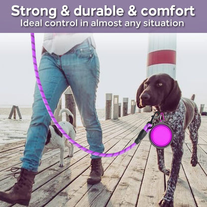 Heavy-Duty Reflective Leash for Dogs