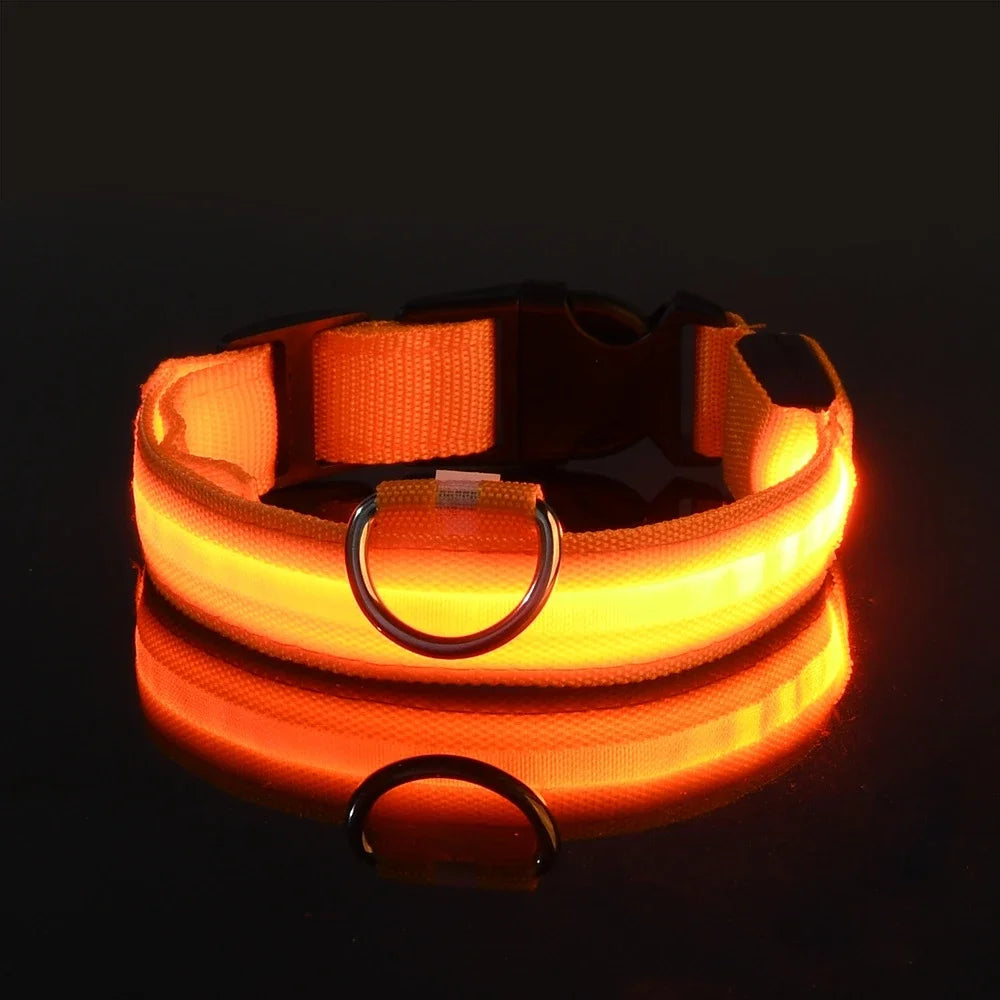 Nylon LED Dog Collar Leash