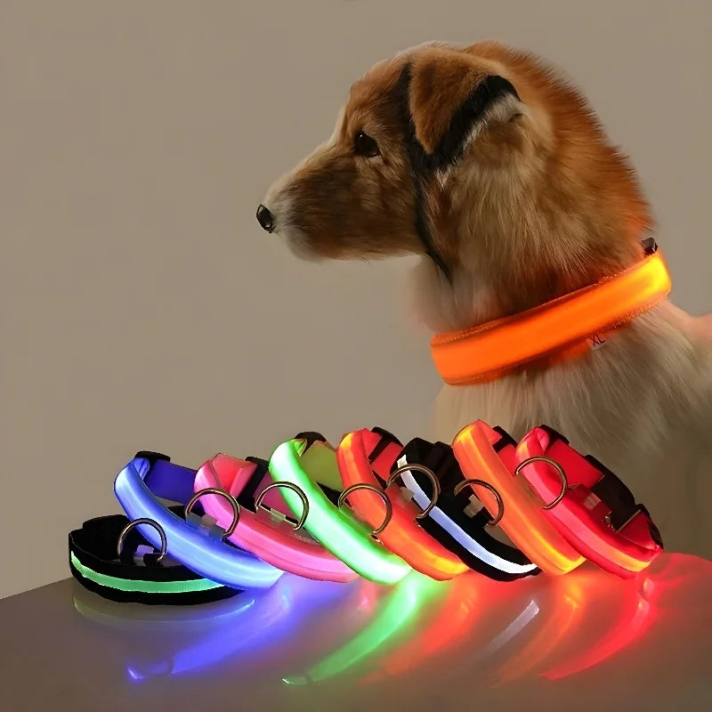 Nylon LED Dog Collar Leash