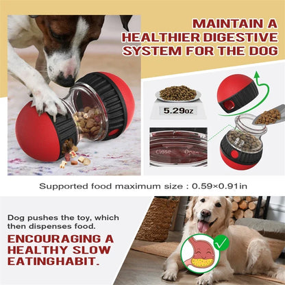 Interactive Pet Toy with Elliptical Track and Food Dispenser