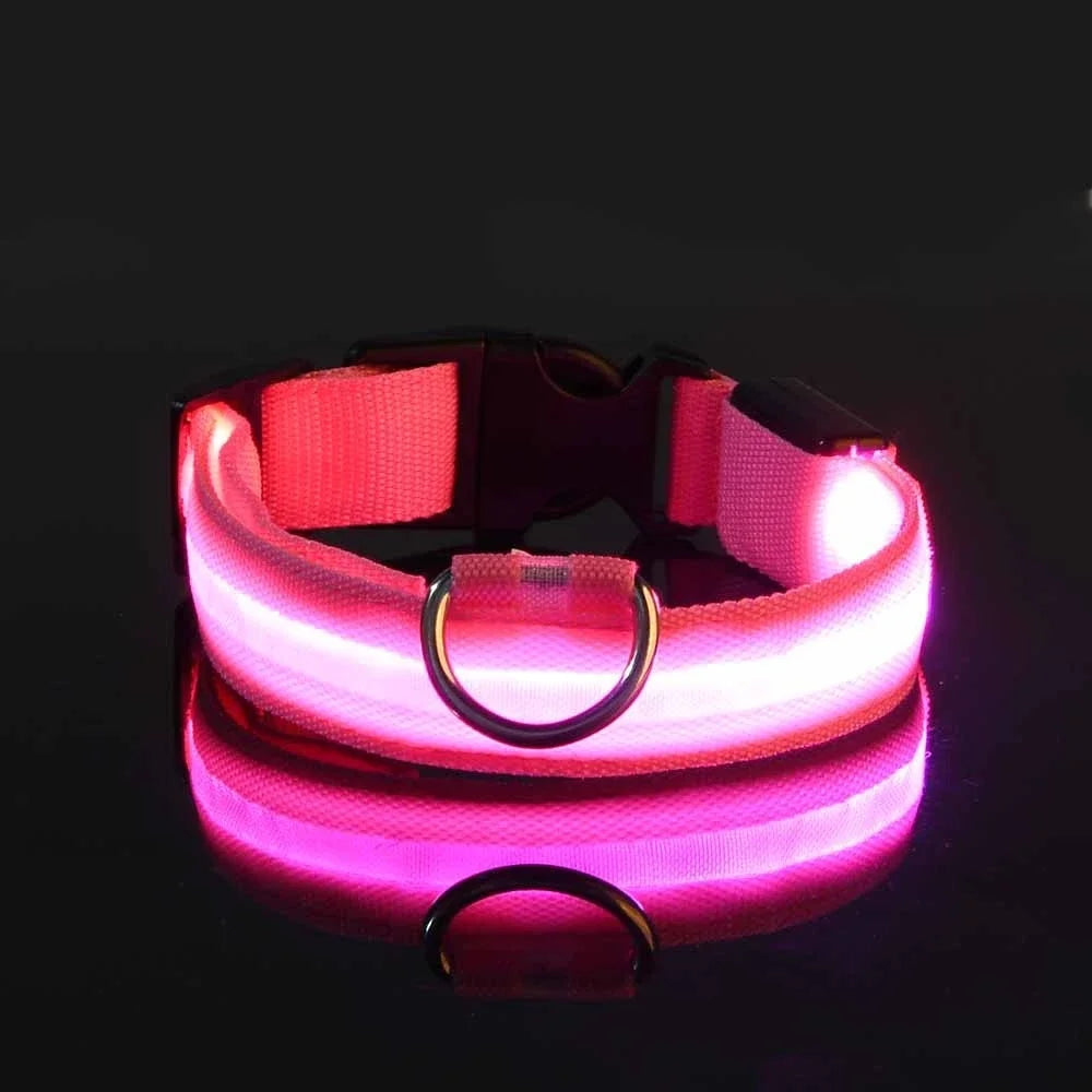 Nylon LED Dog Collar Leash