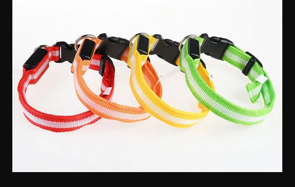 Nylon LED Dog Collar Leash