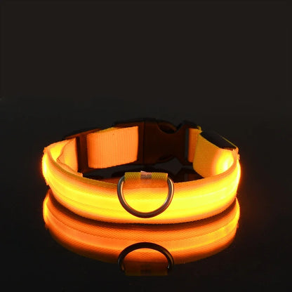 Nylon LED Dog Collar Leash