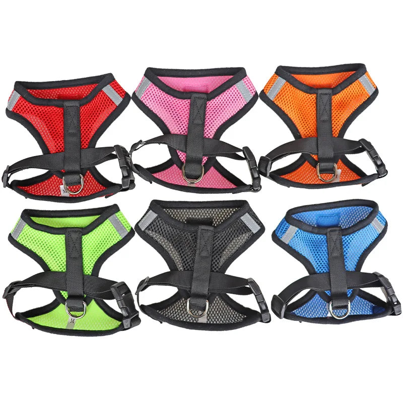 Cat Harness with Adjustable Leash