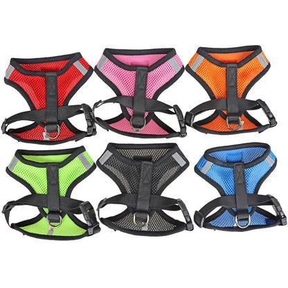 Cat Harness with Adjustable Leash